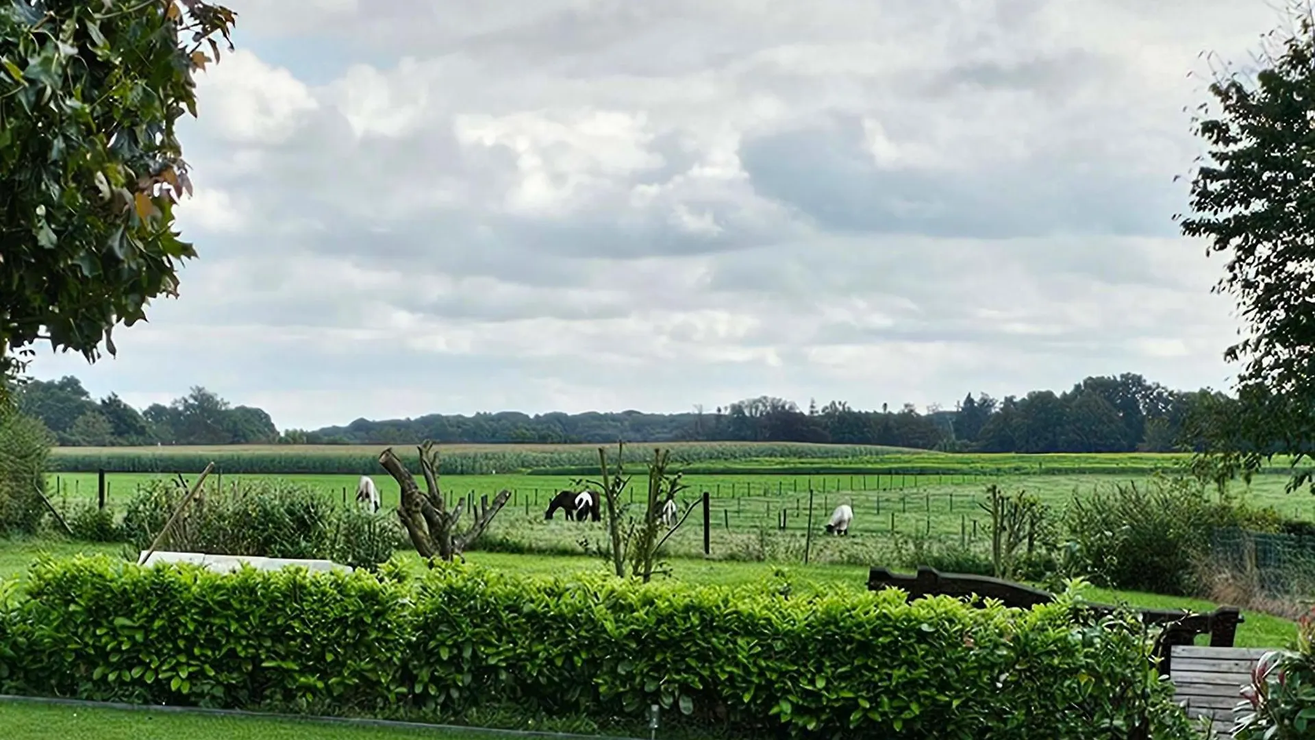 Vida Verde Valkenburg aan de Geul Nederland